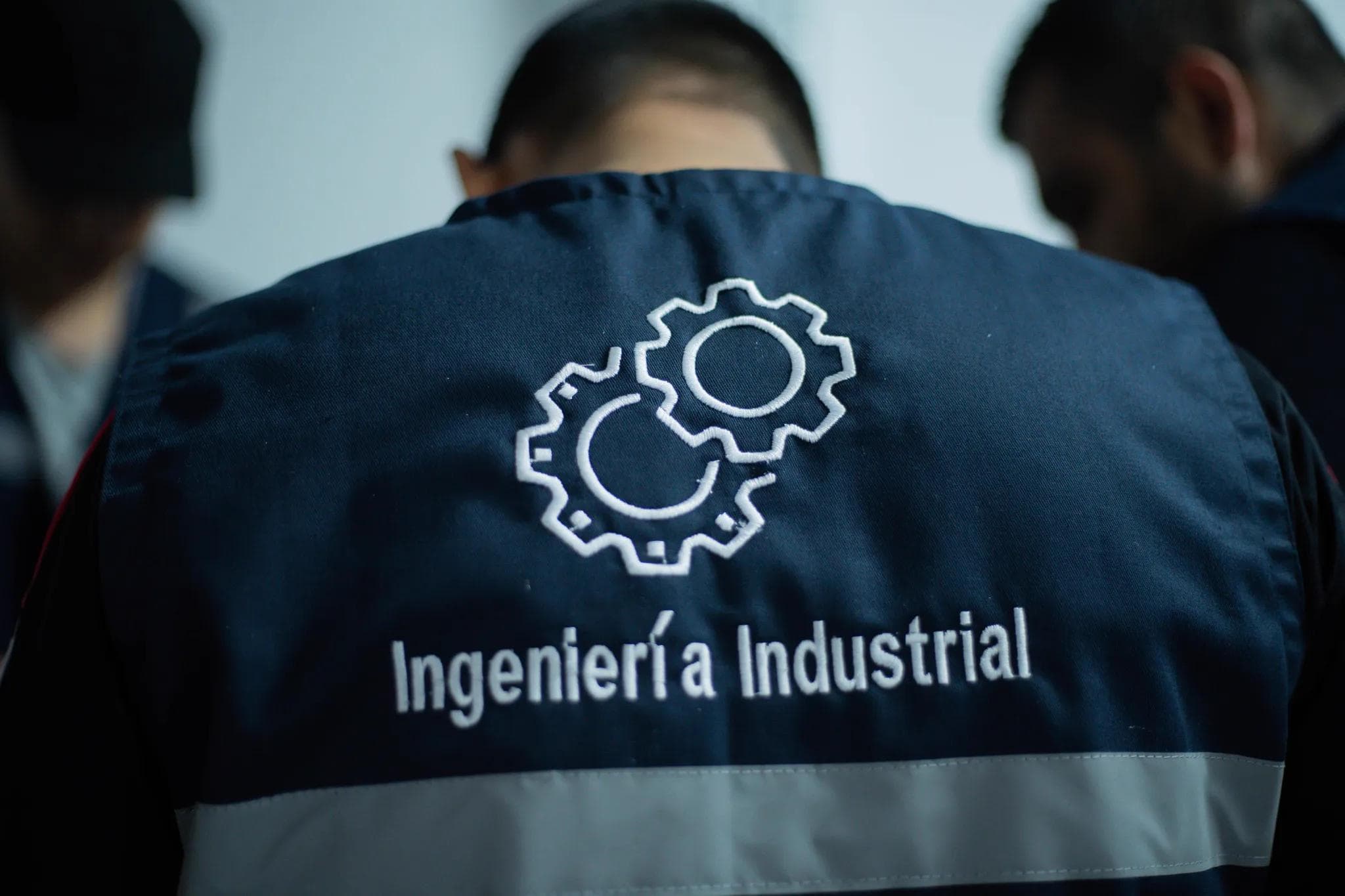 Ingeniería Industrial — vida-1