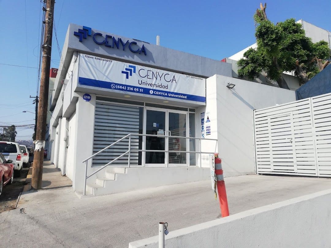 Plantel Palmas